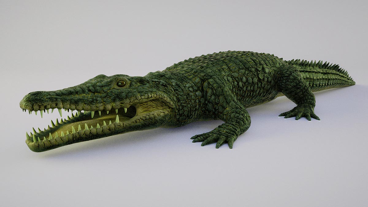 3D Character Modeling Company India