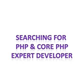 Searching for php & core php Expert Developer?