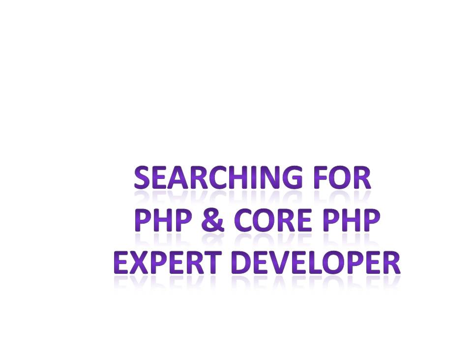 Searching for php & core php Expert Developer
