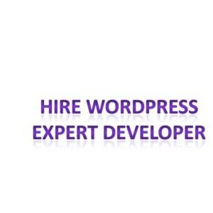 Hire wordpress Expert Developer