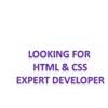 Looking for HTML & CSS Expert Developer