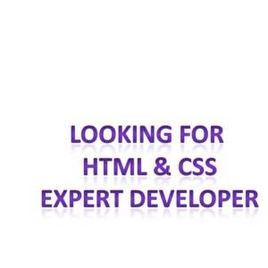Looking for  HTML & CSS Expert Developer?